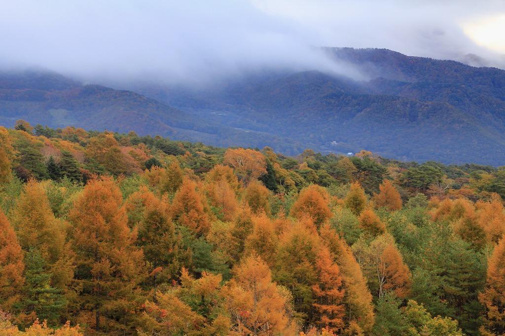 Kiyosato Pension Izumi โฮคุโตะ ภายนอก รูปภาพ